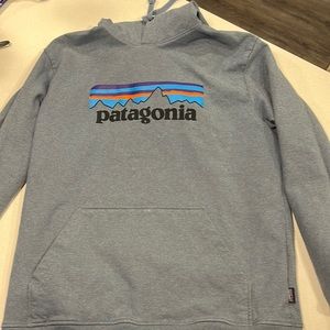 Blue Patagonia sweatshirt